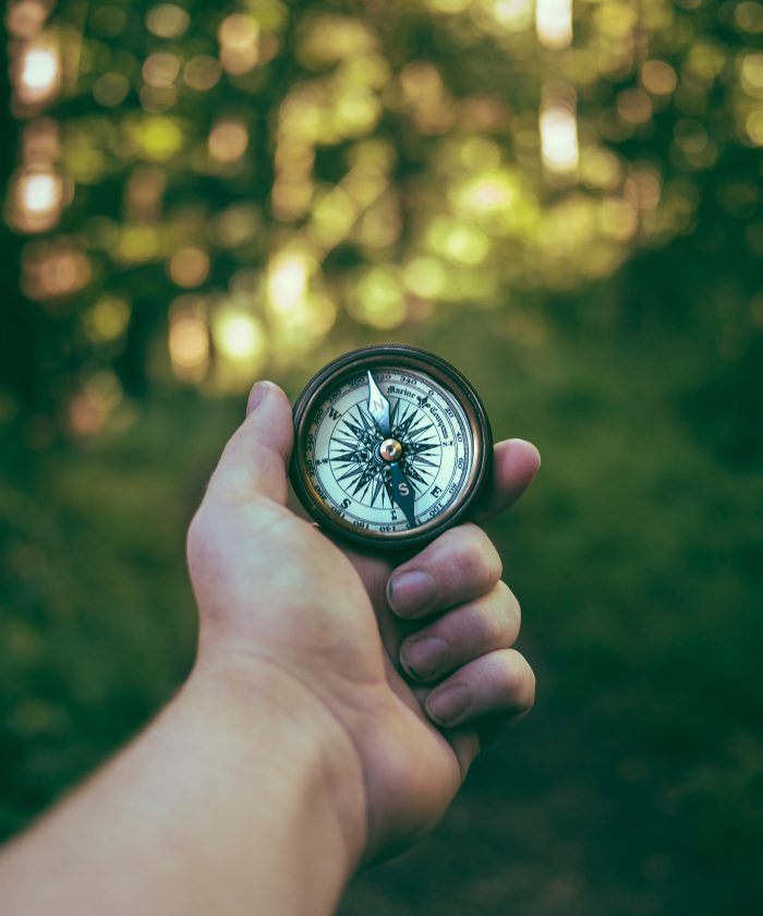 Trend Scouting: Driving Innovation Through Understanding Unforeseen Needs